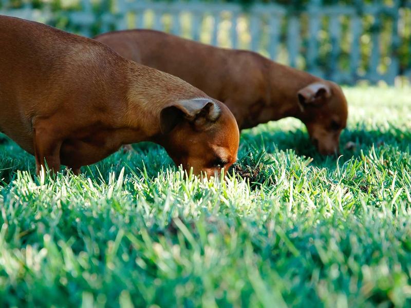 我是传奇<br>ujcbtdu.cn 纽约僵尸围城